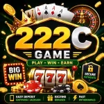 222C Game
